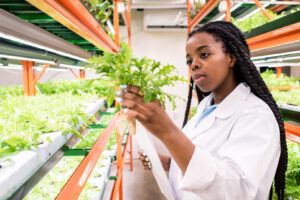 An Afrian woman inspects plants growing in a high-density indoor facility
