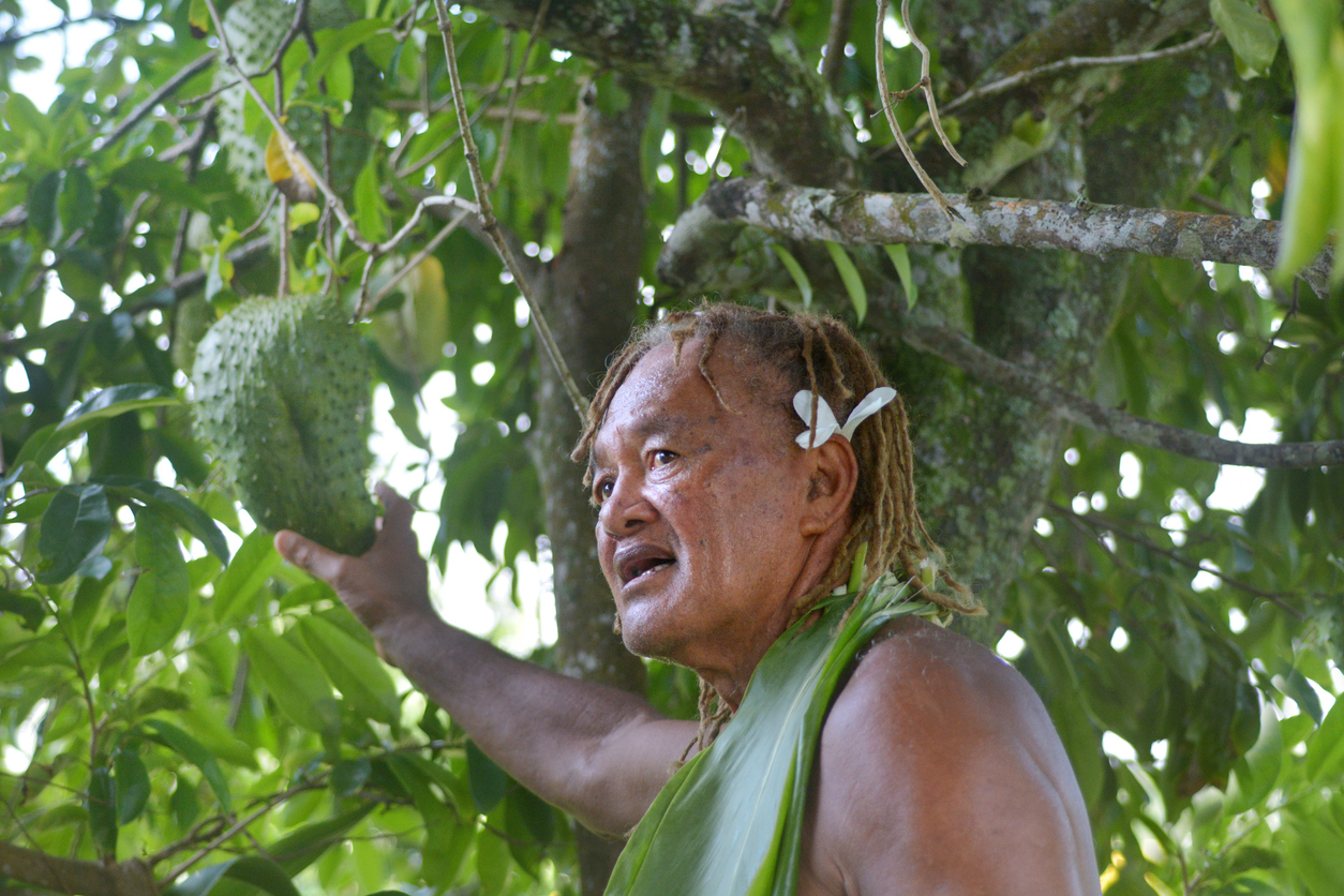 a woman stands grasping a large soursop fruit in a tree